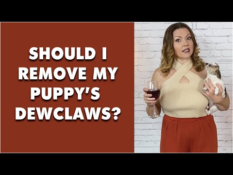 วีดีโอ: ฉันควรส่ง Dog Aggressive ของฉันไปที่รับเลี้ยงเด็กหรือไม่