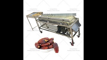 Dates size sorter machine / UAE date palm sorting machine / dates grading machine