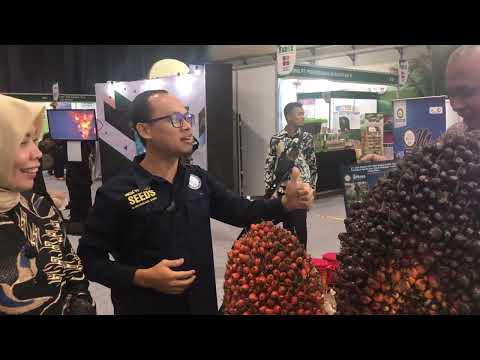 Kelapa Sawit varietas