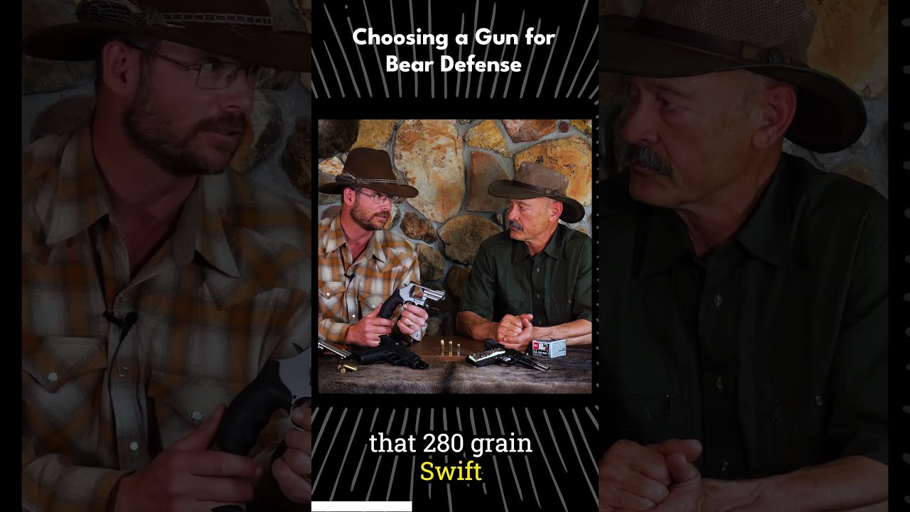 Best Handgun For Bear Defense