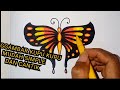 cara menggambar kupu-kupu mudah dan cantik