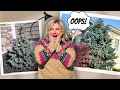 The TRUTH about Landscaping your Yard and Garden | What No One Tells You!