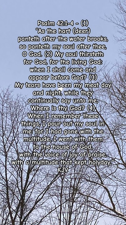 psalm-41-1-4-youtube