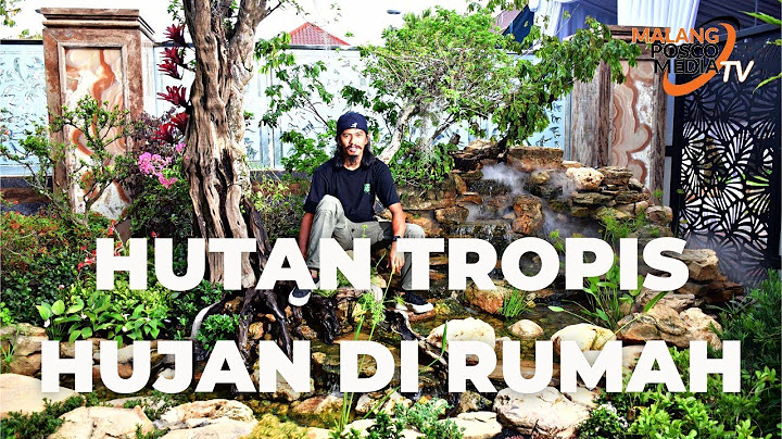 Herry Rasio Bikin Hutan Hujan Tropis Di Rumah
