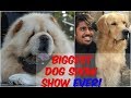 Greatest DOG SHOW EVER! | Delhi INDIA | Wildly Indian