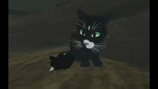 Small Price To Pay | WCUE HEAT (★ ω ★)