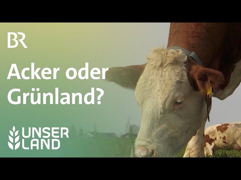 Video: Was macht Grünland zu Grünland?