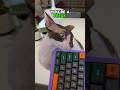 Silicone Keyboard vs Cat...😱