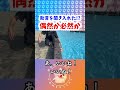 犬は人間の言葉を理解している⁉️