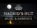 Harry Potter Hagrid&#39;s Hut Music and Ambience | Official Soundtrack Harry Potter