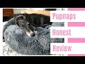 Pupnaps - Honest Review by Olive the Greyhound