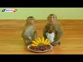 Brother Kako With Sister Luna And Tiny Olly Eating Banana And Boiled Potato Fruits