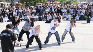 ARTBEAT(아트비트) | Young posse 영파씨 -XXL  | Han River Busking 240519