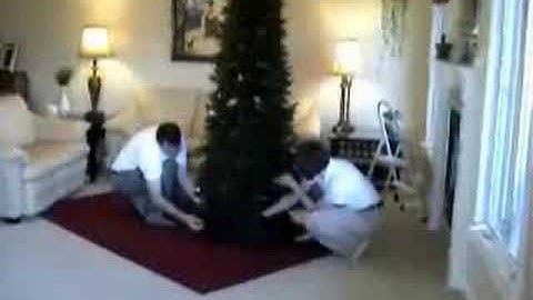 Christmas Tree Storage Bag