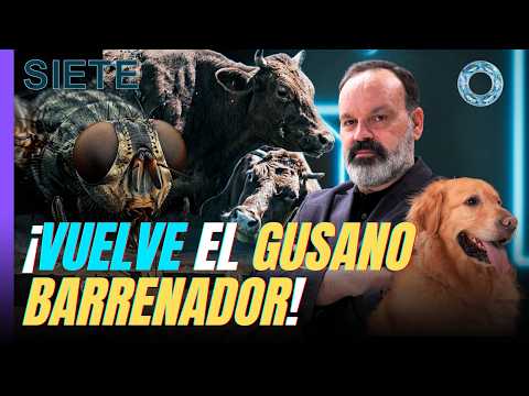 DEVASTATING PLAGUE! The BOG WORM and the CRISIS FACING MEXICO 🚨 🇲🇽