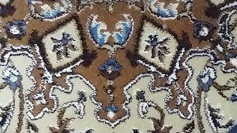 القارئ الشيخ محمود صابر صلاة العشاء 14 رمضان 1439