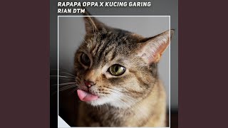 Download lagu Rapapa Oppa X Kucing Garing