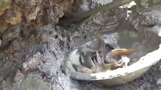 Unique Fishing Man Find Secret Hole Fishes