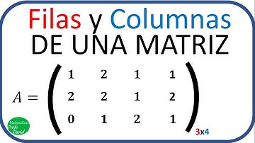 Filas y columnas de la matriz