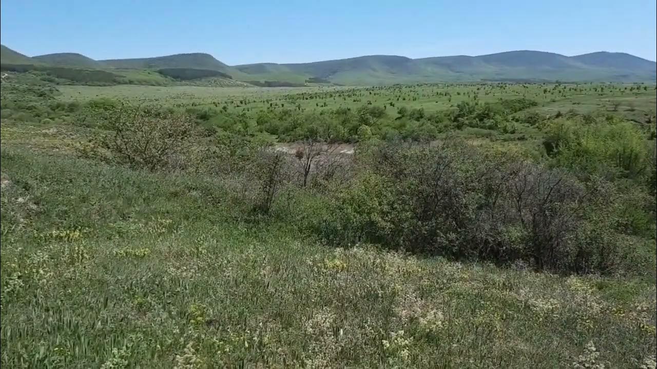Национальный парк Тарханкут в Крыму.: vladimirkrym - ЖЖ