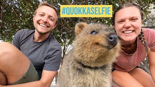 The World's Happiest Animal | Largest Quokka Population on the Planet!