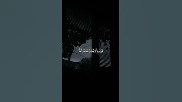 قران#القارىء_ماهر_المعيقلي#تلاوة_هادئة اجر لي ولك اكتب شيء تؤجر عليه