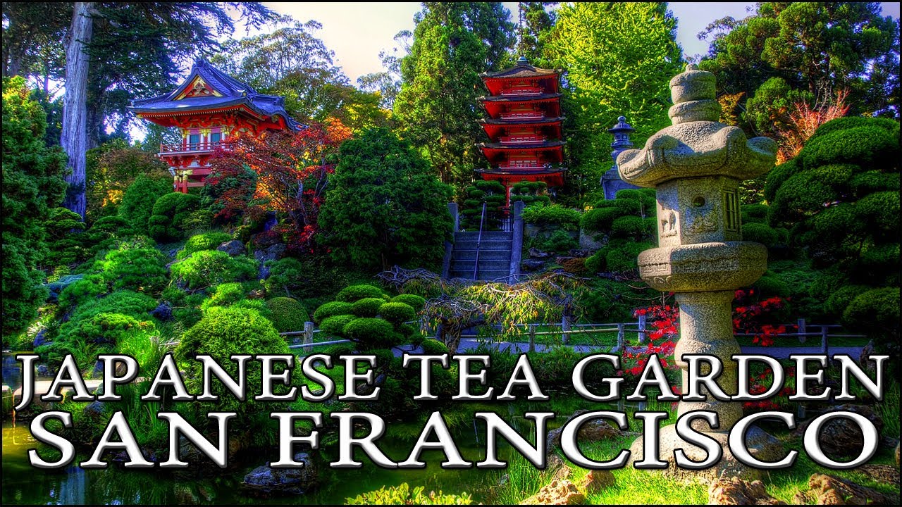 Japanese Tea Garden San Francisco