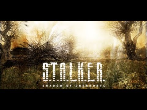 Видео: Нарезка по Stalker Shadow Of Chernobyl #2