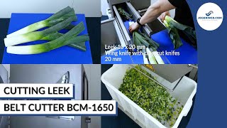 Machine Cutting Leek | Industrial Vegetable Cutter BCM-1650