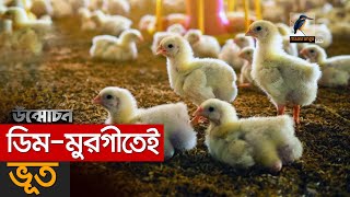 ডিম-মুরগীতেই ভুত!! | Unmochon | EP 60 | Egg and Poultry farm syndicate