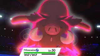 Why You Should Never Underestimate Piloswine