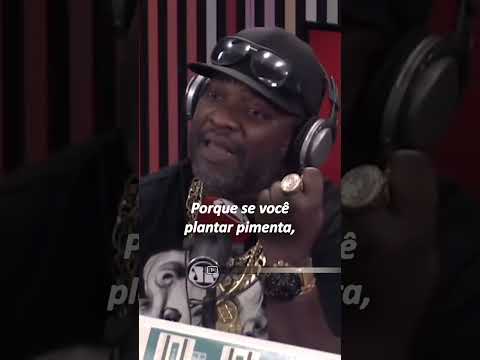Mr. Catra -