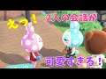 [あつ森]まって！2人の会話が可愛すぎる！フランソワとクリスチーヌの会話アイドルの話？！[あつまれどうぶつの森]