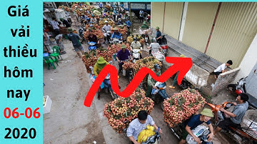 Giá vải thiều mới nhất hôm nay 6/6/2020-Cập Nhật Giá thiều Vải lục Ngạn hôm nay |xuất khẩu vải thiều