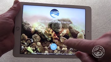 River Invertebrate Larvae App - Smarter river monitoring with S&TC