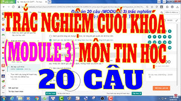 Đáp án 20 câu trắc nghiệm (MODULE 3) bài tập cuối khóa môn Tin học  cấp Tiểu học.