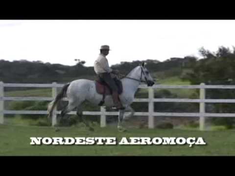 NORDESTE AEROMOÇA