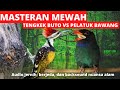 masteran mewah!! tembakan sadis!!!variasi TENGKEK buto vs pelatuk bawang