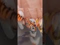 💞Маникюр с изображением тигра🐯