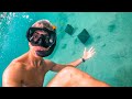 Nadando con TIBURONES en BAHÍA DRAKE | Costa Rica