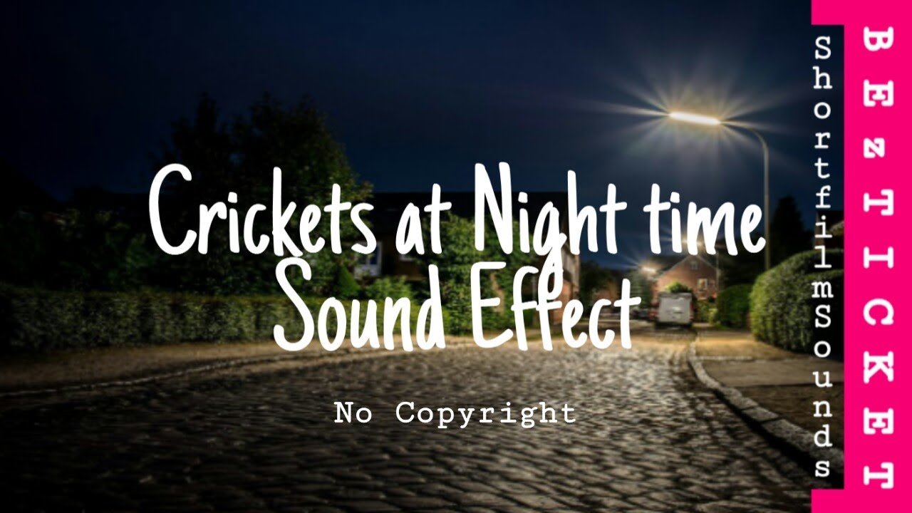 Crickets at Night time Sound effect No Copyright Bez Ticket YouTube
