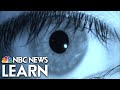 Biometrics and Identification Quiz