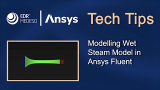 Celebrity Modelling Wet Steam Model in Ansys Fluent Net Worth