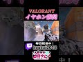 イヤホン必須VALORANT！？【Valorant】#shorts #valorant #valorantclips #新人vtuber #ヴァロラント女子 #配信 #vtuber #fyp #バズれ