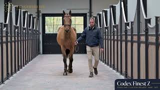 Codex Finest - Walk & 360