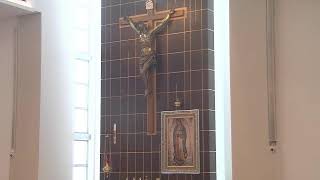 Catholic Mass IV Sunday of Lent - 03-15-2026 - Our Lady of Guadalupe Doral (8:30am)