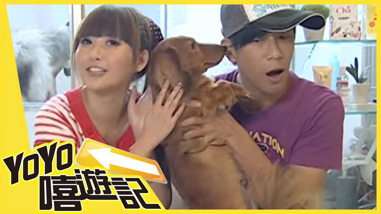 我家有個大明星！ 蝴蝶 黑皮 YOYO嘻遊記 S4 第14集