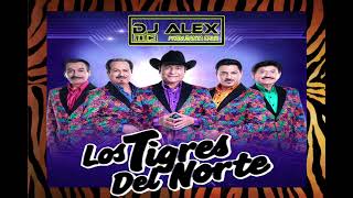 LOS TIGRES DEL NORTE MIX Y ALGO MÁS - ( DJ ALEX)