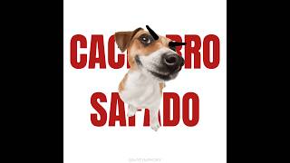 Nasty Dog Gostou Do Vídeo? Curta, Siga E Comente Para Mais