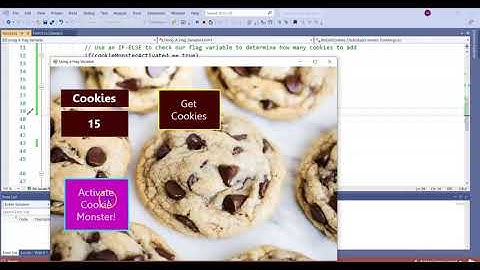 Visual C# 4.3- Using A Flag Variable